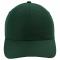 SS-X210P-Forest-Green - B