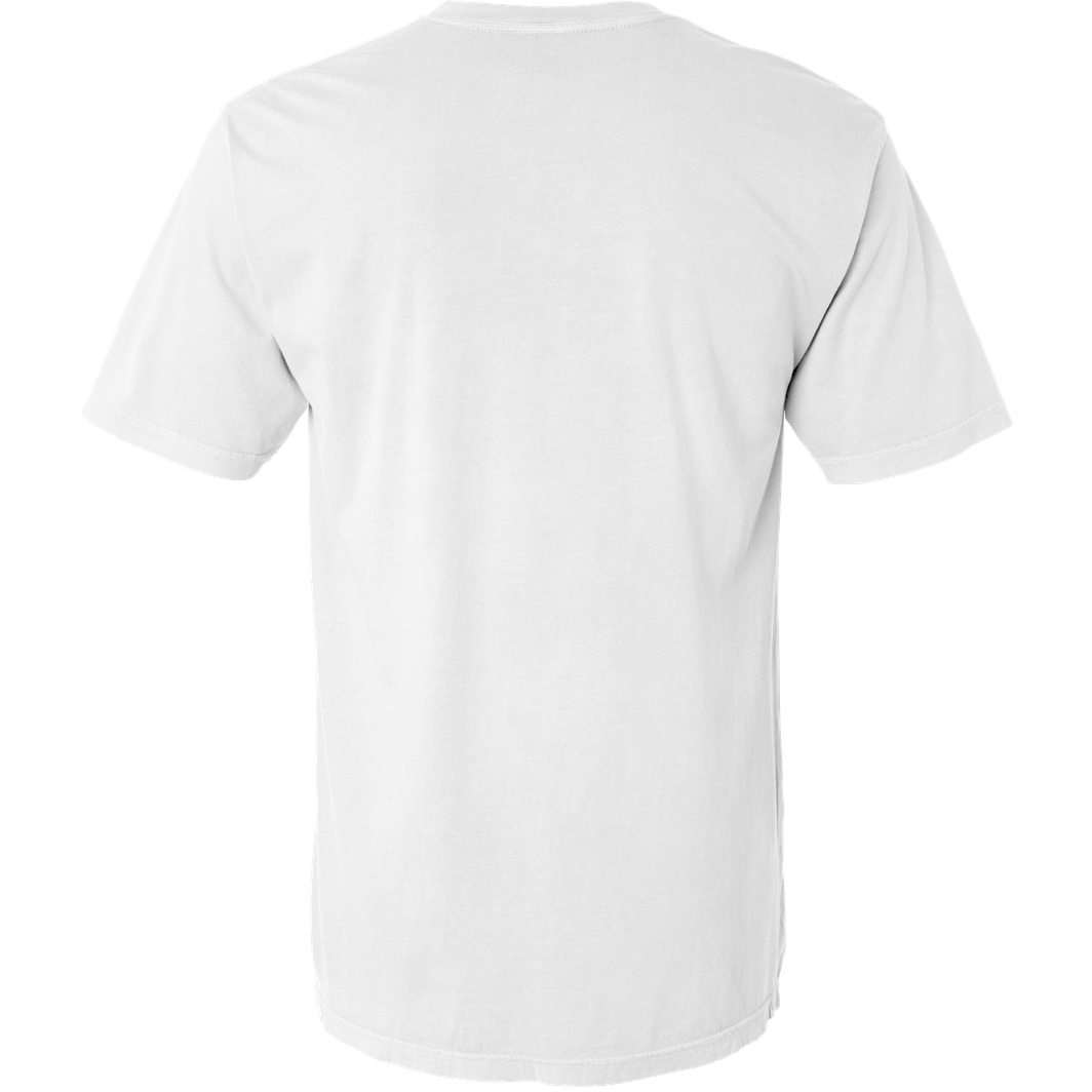 Comfort Colors 4017 Garment Dyed Lightweight T-Shirt - White | Full Source