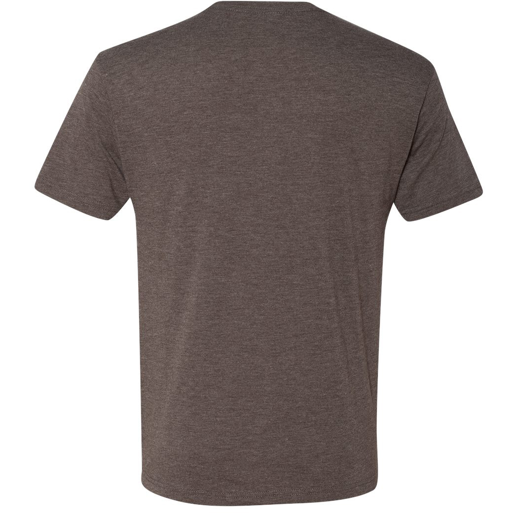 Next Level 6010 Tri-Blend T-Shirt 2-Pack - Vintage Black + Envy, Super Soft Jersey (Large)