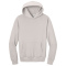 SM-BC4719-Dust - C