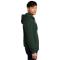 SM-DT6102-Forest-Green - C