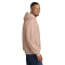 SM-SF500-DustyRose - C