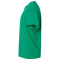 SS-GDH100-Rich-Green-Grass - C