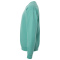 SS-GDH400-Spanish-Moss - C