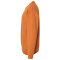 SS-GDH400-Texas-Orange - C
