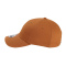 SS-X210B-Buckthorn-Brown - C