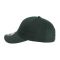 SS-X210B-Dark-Green - C