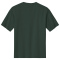 SM-BC3010-Forest - D