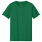 SM-NKDX8787-GorgeGreen - D
