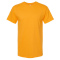 SS-4800-Gold - D