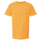 SS-6500M-Citrus - D