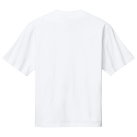 SM-DT6065-White