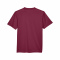 AB-TT11Y-Sport-Maroon - E