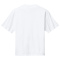 SM-DT6065-White - E
