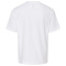 SS-4850-White - E