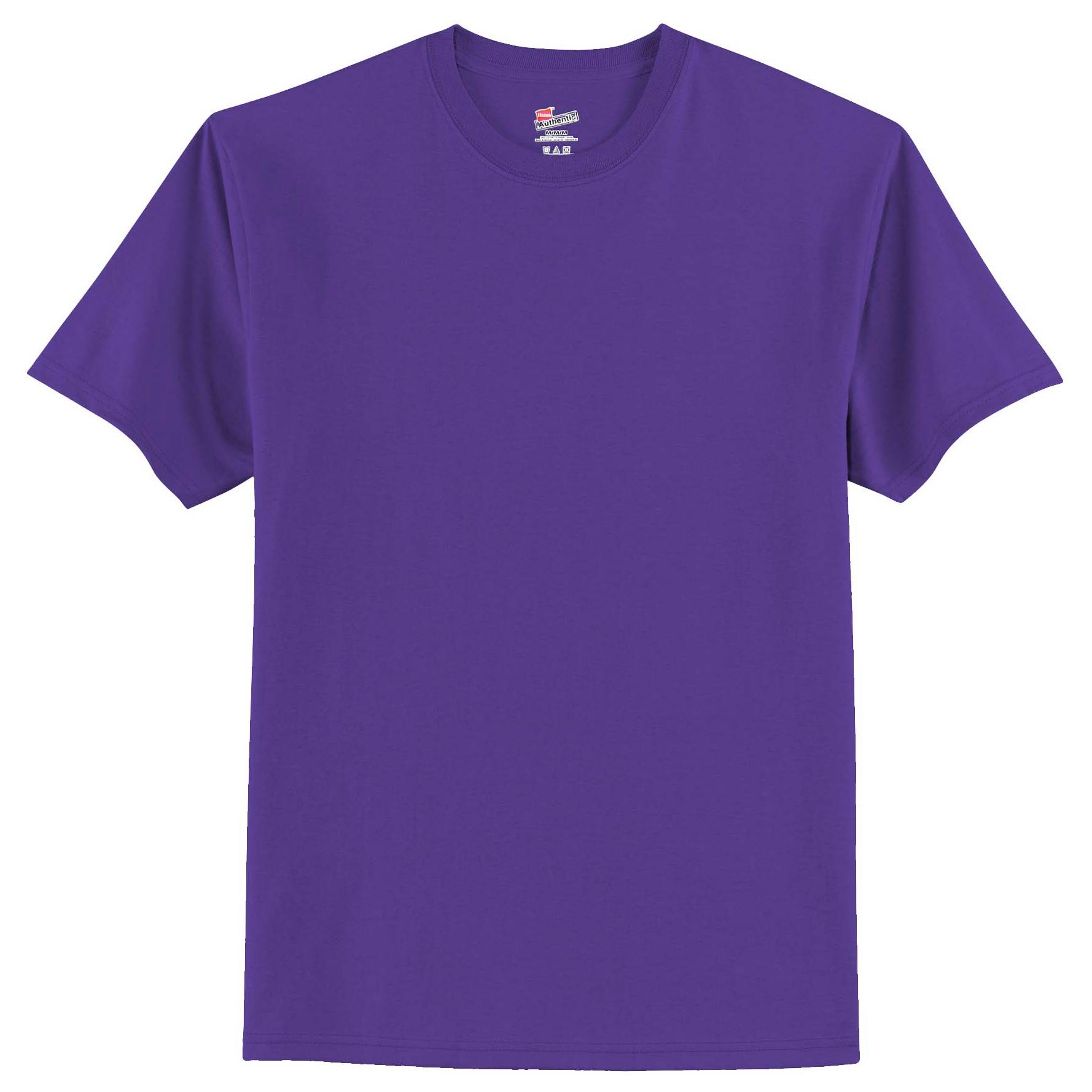 Hanes 5250 Authentic 100% Cotton T-Shirt - Purple | Full Source
