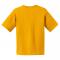 SM-2000B-Gold - F