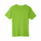 AB-CE111-Acid-Green - F