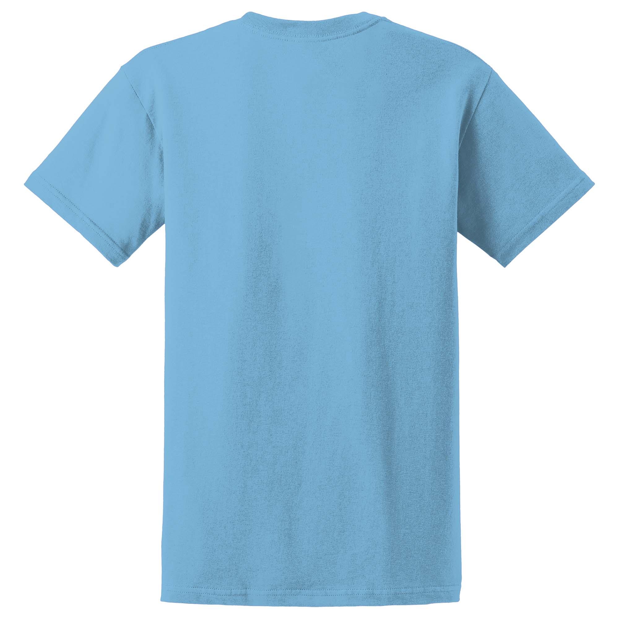 Gildan 2000 Ultra Cotton 100% US Cotton T-Shirt - Sky | Full Source
