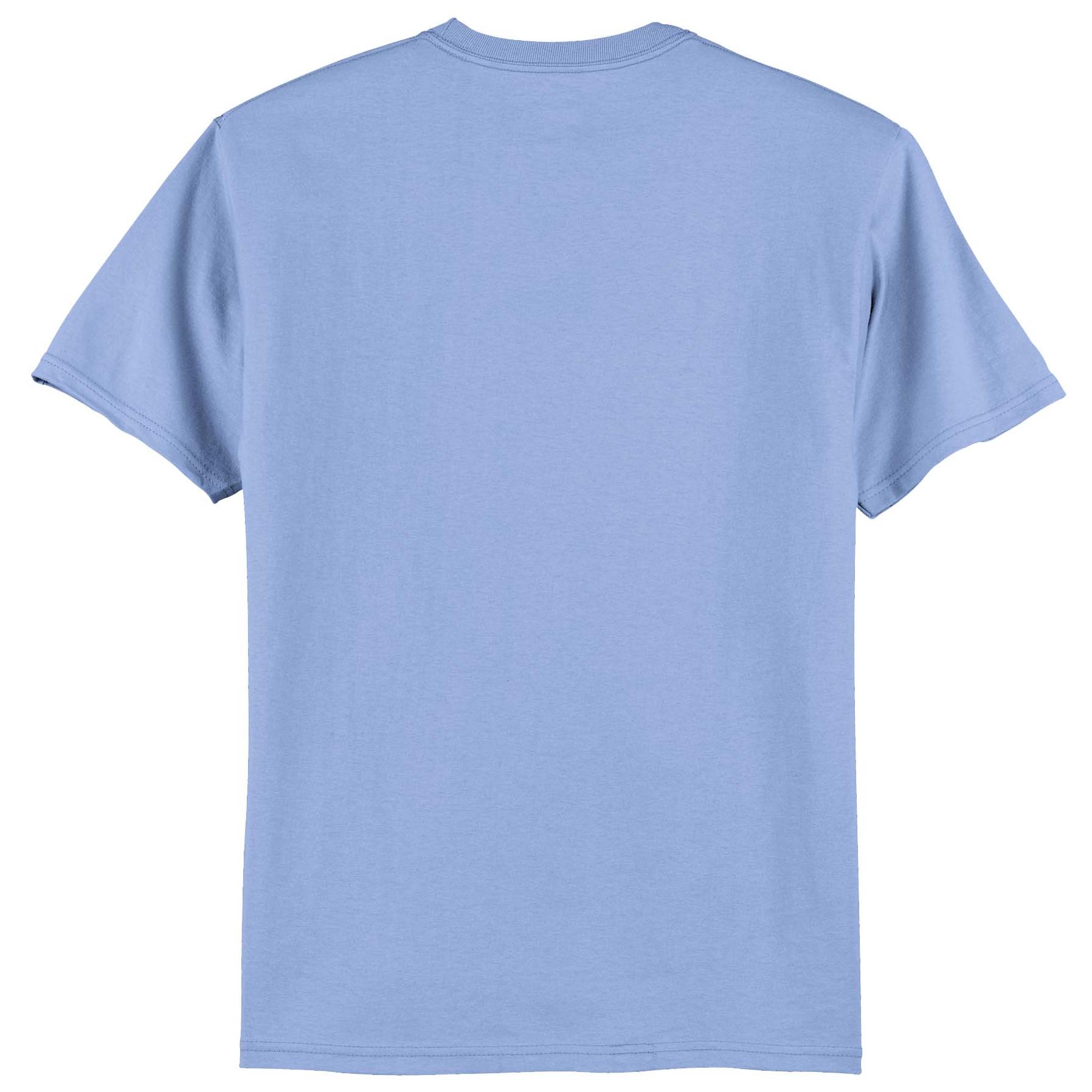 Hanes 5250 Authentic 100% Cotton T-Shirt - Carolina Blue | Full Source