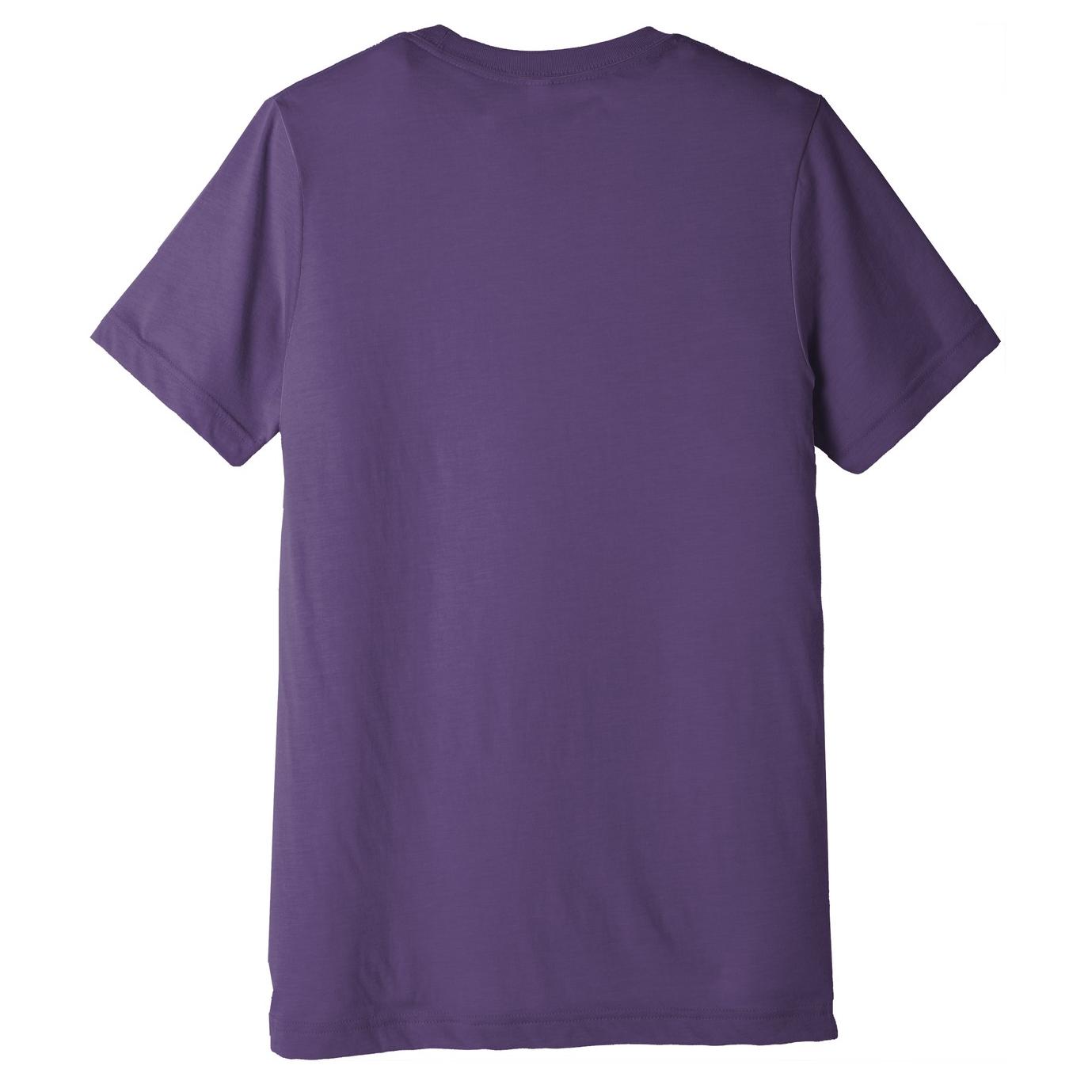 Bella + Canvas BC3413 Unisex Triblend Short Sleeve Tee - Purple ...